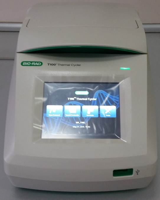 PCR-Fotoğraf