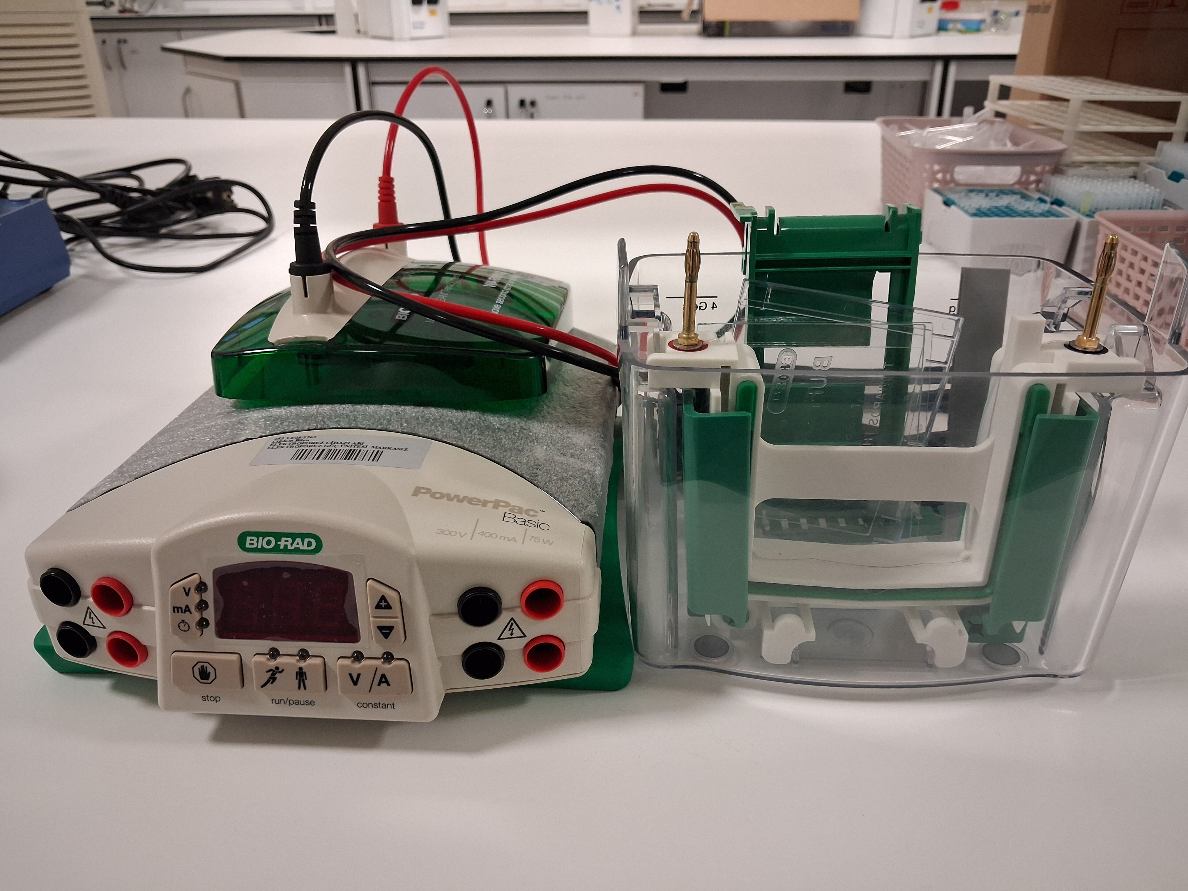 Elektroforez-Fotoğraf