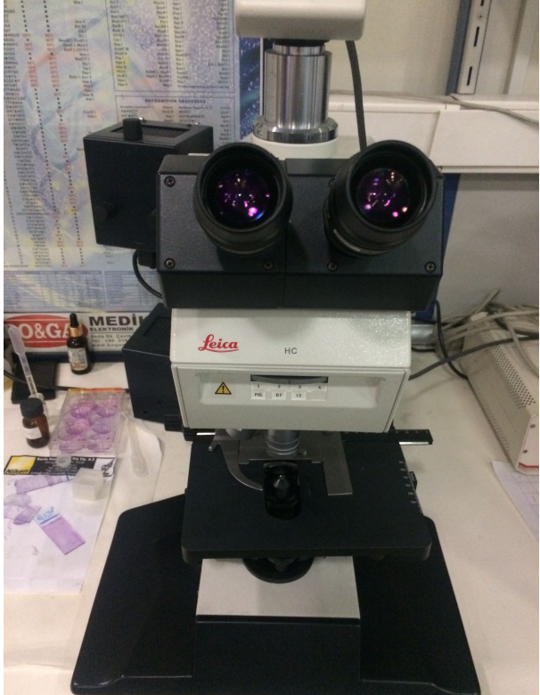 Triocular Fluoresans ve Yansımalı Kontrast Mikroskobu-Fotoğraf