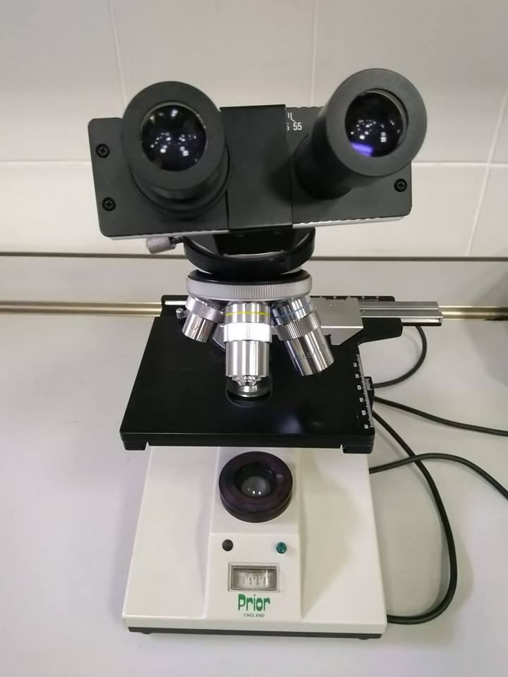 Mikroskop-Fotoğraf
