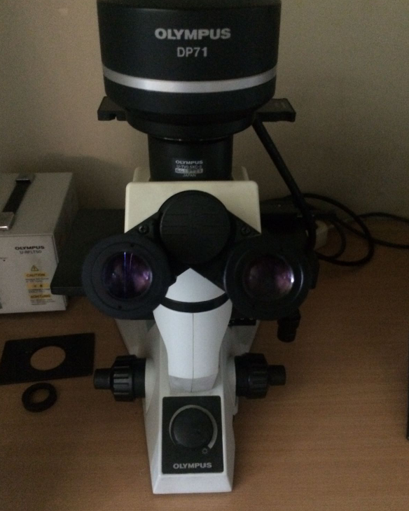 İnverted Mikroskop-Fotoğraf