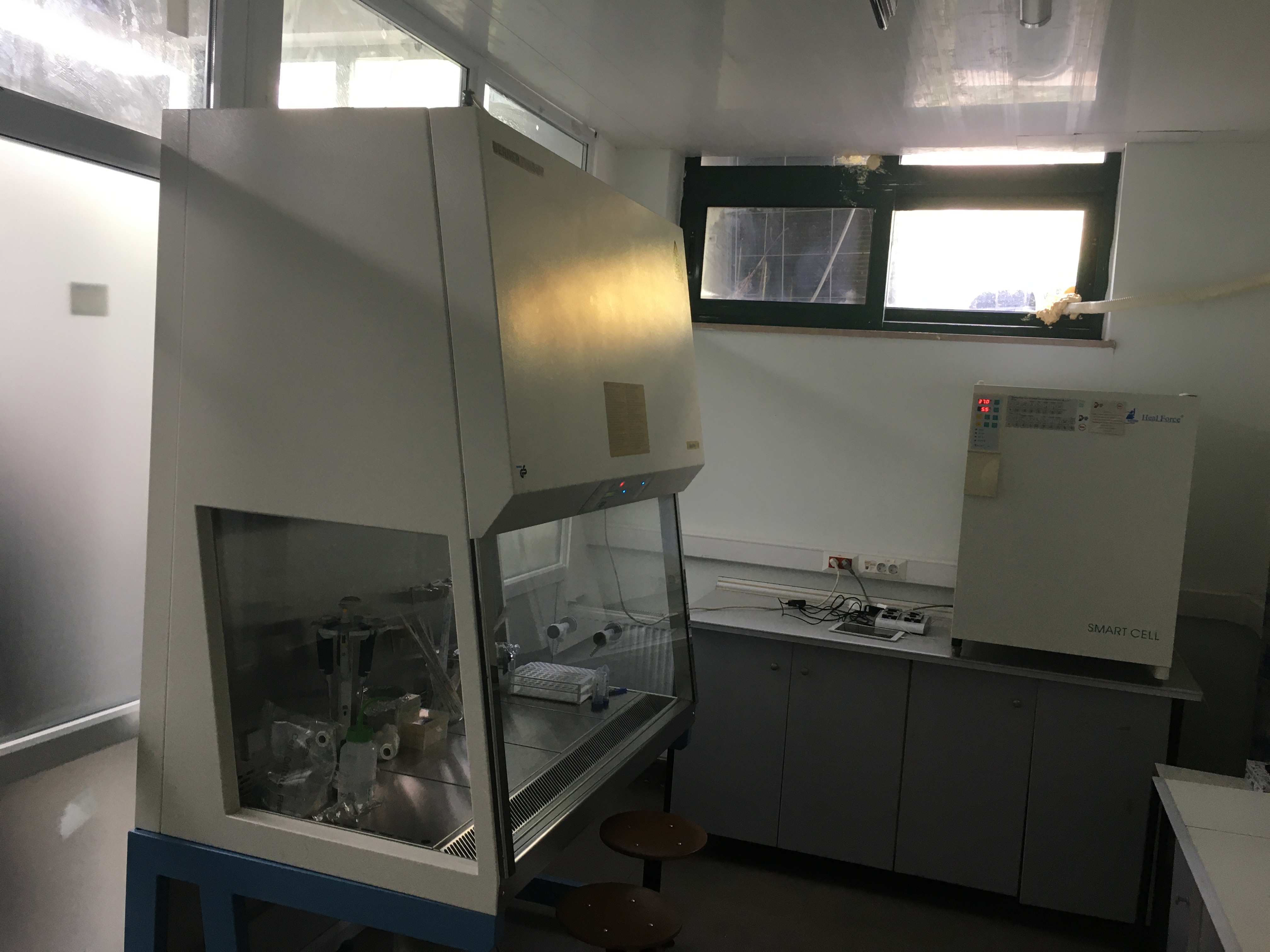 KME 105 Hücre Kültürü Laboratuvarı-Fotoğraf